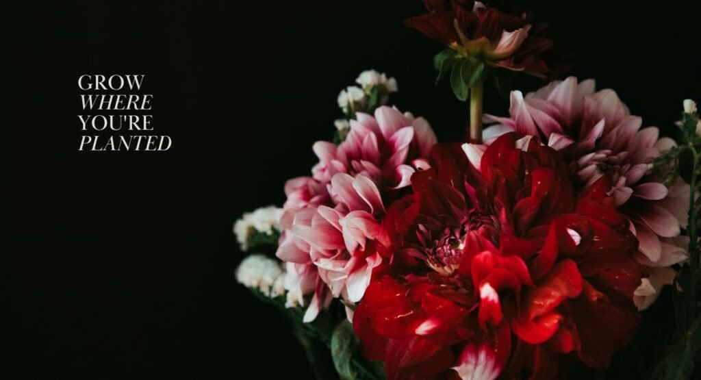 50+ Good Morning Monday Blessings, Images and Quotes