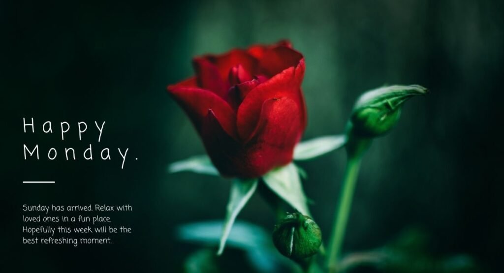 150+ Positive, Inspirational Monday Blessings, Quotes and Prayers