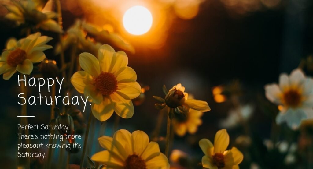 100+ Saturday Blessings for a Joyful and Blessed Weekend (2025)