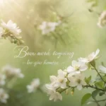 150+ Beautiful Blessings Quotes and Inspirational Sayings to Uplift Your Spirit Today β¨πΏ